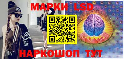 гидропоника Камышлов
