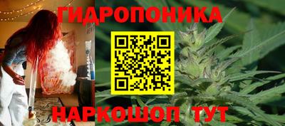 PSILOCYBIN Канаш