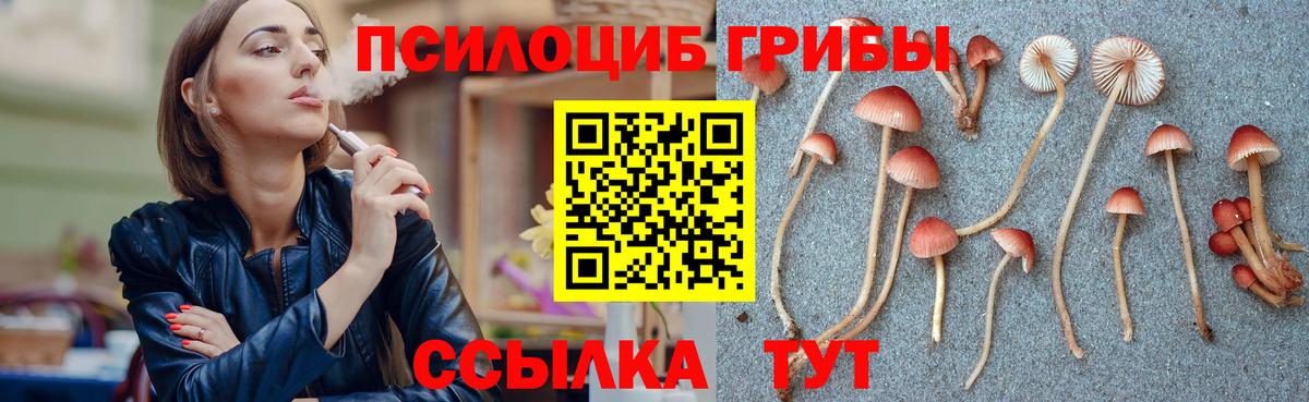 купить наркоту  Псилоцибиновые грибы мицелий  Вход с VPN  Усть-Джегута  Галлюциногенные грибы GOLDEN TEACHER 